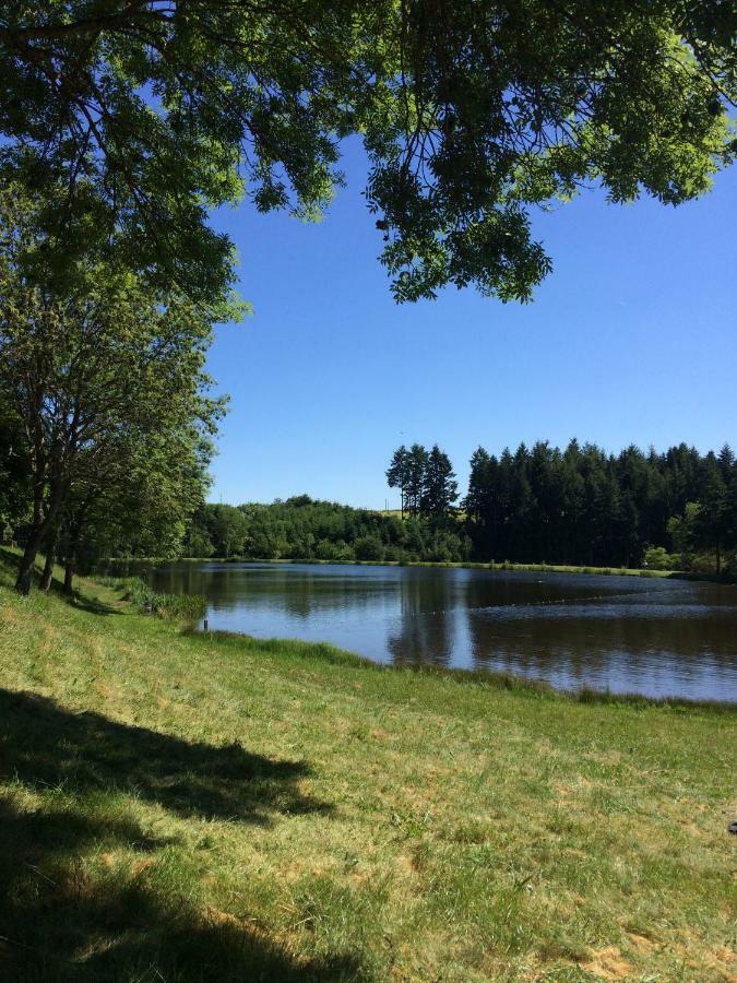 Gite Des 3 Etangs Malvieres Екстер'єр фото